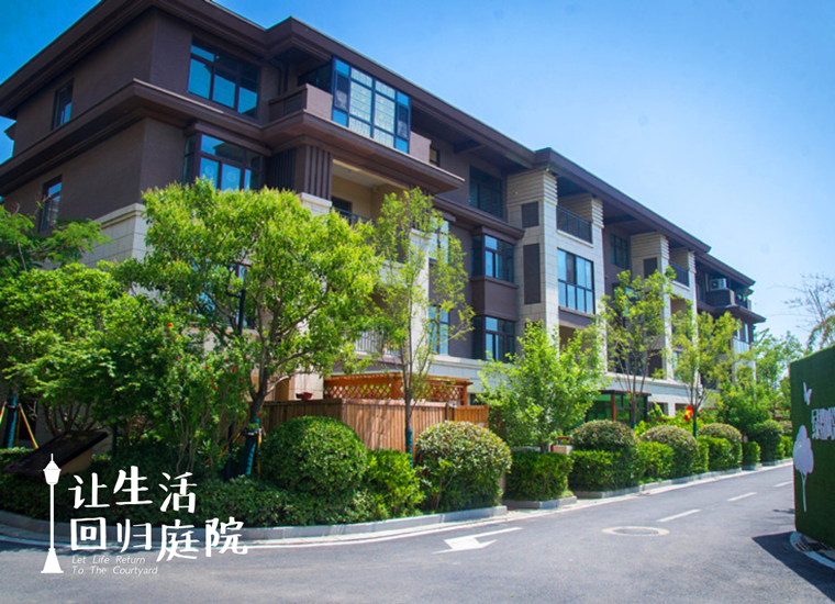 前后张望南阳50年：这样的庭院，，，，，很难再有了！