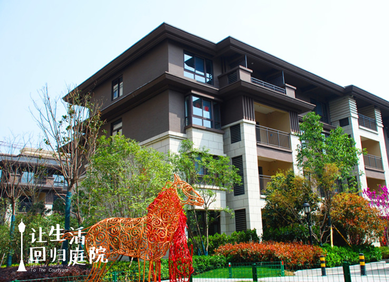 前后张望南阳50年：这样的庭院，，，，，很难再有了！