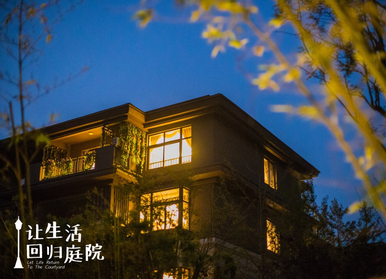 前后张望南阳50年：这样的庭院，，，，，很难再有了！