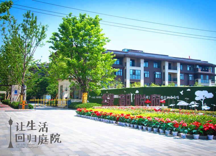 前后张望南阳50年：这样的庭院，，，，，很难再有了！