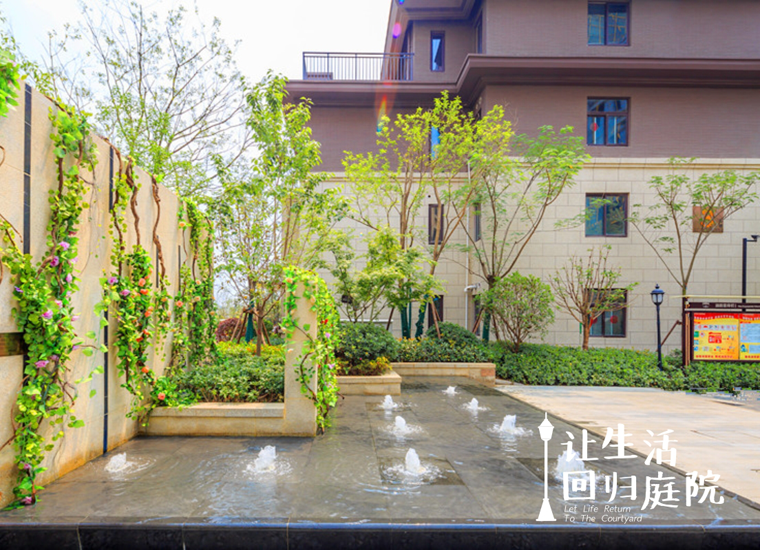 前后张望南阳50年：这样的庭院，，，，，很难再有了！