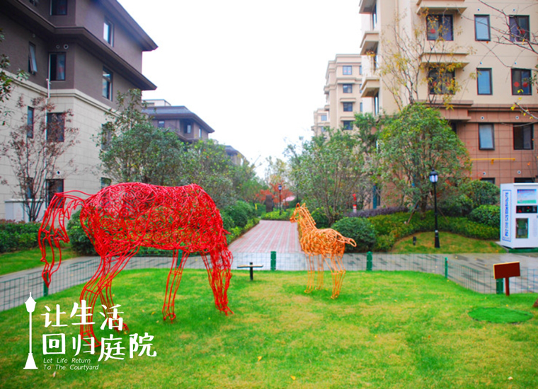 前后张望南阳50年：这样的庭院，，，，，很难再有了！