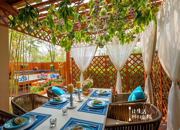 前后张望南阳50年：这样的庭院，，，，，很难再有了！