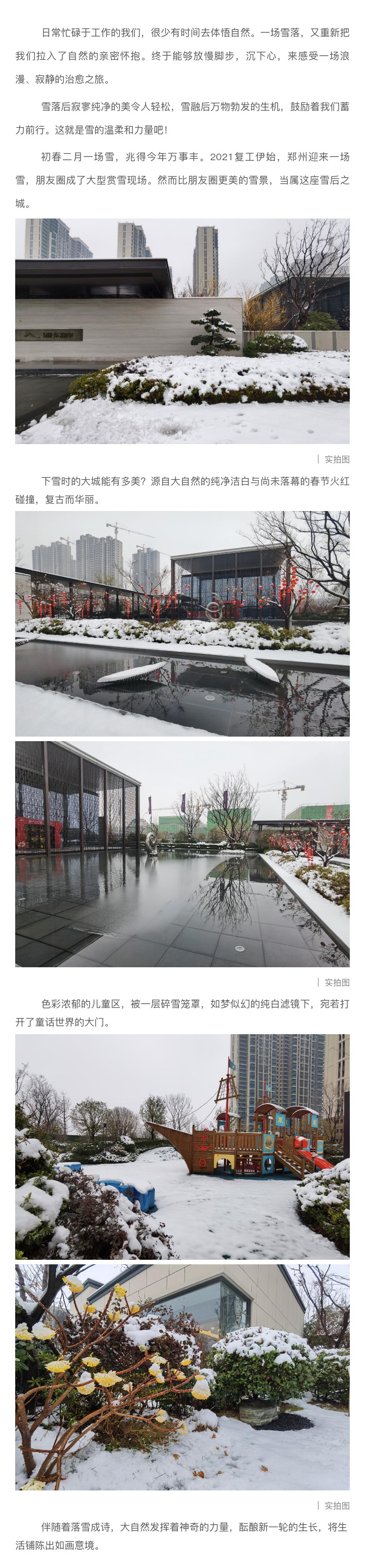 2021浪漫开年，，，，，共赏一场鹅毛大雪！