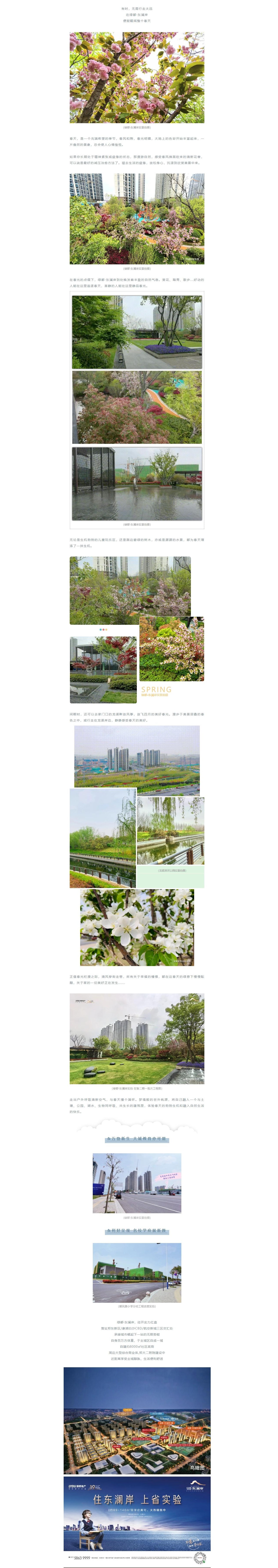 赏花踏青，，，，，来一场和春天的约会