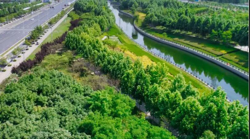 定了！“神兽”线上开学，，，，，，，家里有学生的必看！