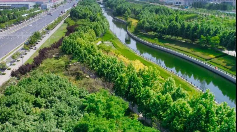 8#楼王加推在即 | 经开顶流热盘，，，，，，这一次万万别错过！