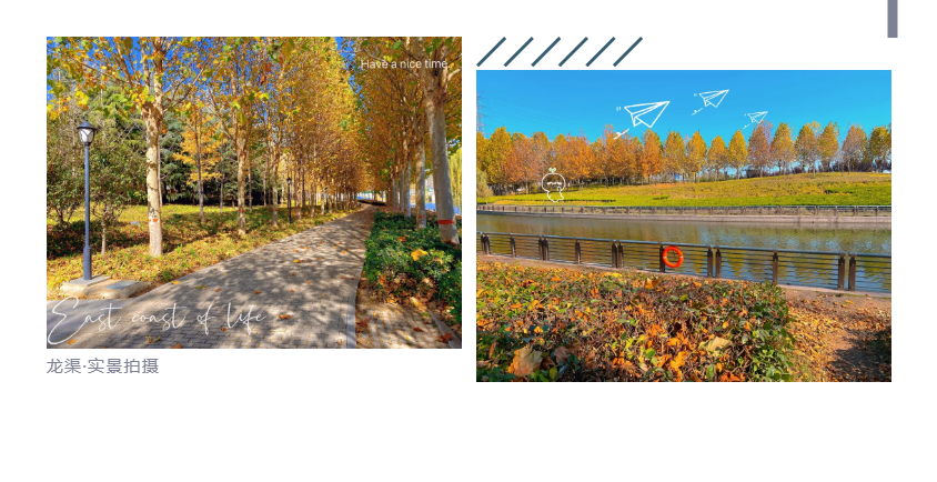 钜惠即止，，，，，，，捡漏经开超人气明星热盘！