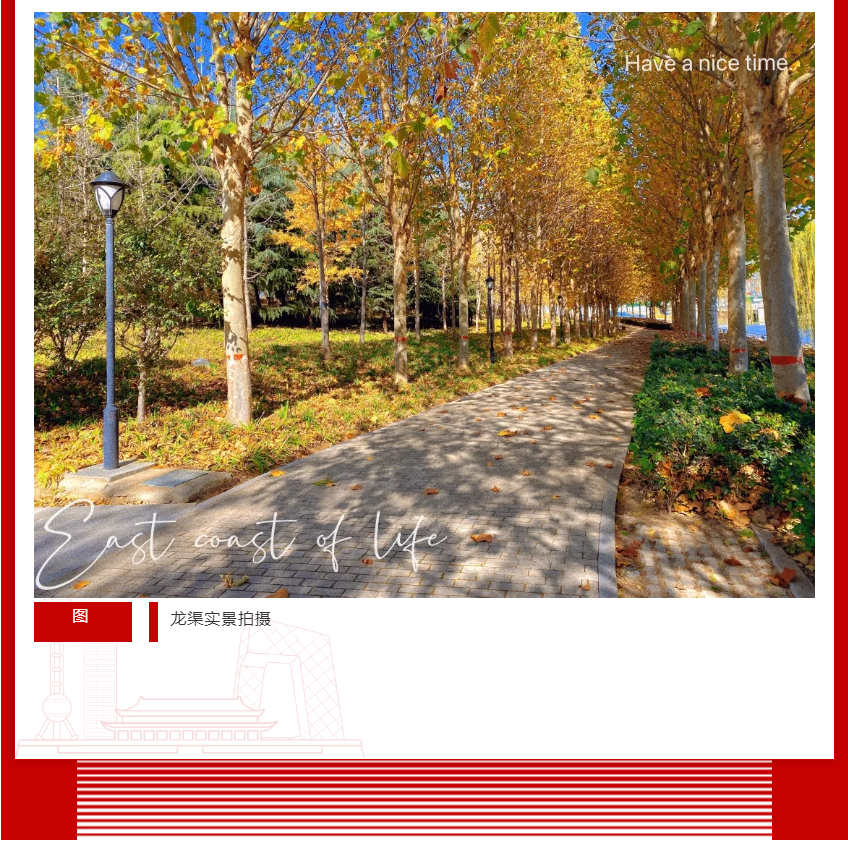 年终薅好房，，，，，，，，这个明星红盘把“出圈”举行究竟！